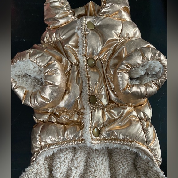 Puffy gold dog jacket - Picture 1 of 3
